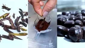 Chanchamayo: disfruta de los nutritivos chocolates con relleno de insectos comestibles