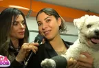 Hija de Fiorella Rodríguez llora al reencontrarse con su mascota: "Rescataré a todos los perritos que pueda"