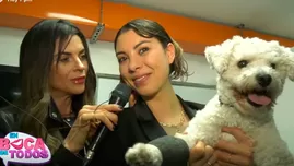 Hija de Fiorella Rodríguez llora al reencontrarse con su mascota.