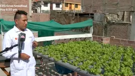 	<p>Joven peruano implementó sistema hidropónico para cultivar lechugas en azotea de su casa.</p>