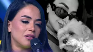 Onelia Molina relató cómo fue el accidente de su perrita Nieve