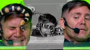 Pancho Rodríguez gritó de terror en pleno reto con culebras