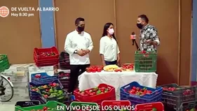 Emprendimiento: agricultores rematan sus rocotos y piden apoyo para que no pierdan