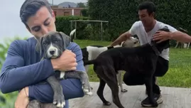 Duilio Vallebuona se despidió de sus mascotas con sentido mensaje