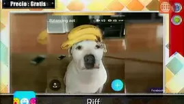 	<p><span class="caps">TEC</span></p>