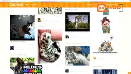 	<p>5228e86f0626182b4b2b96011c46750b</p>