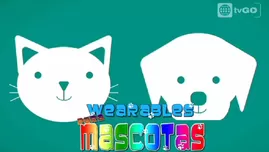 	<p>Tecnolog&iacute;a wearable para mascotas: mira estos gadgets para perros y gatos.</p>