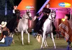 Raúl Carpena cautivó al bailar marinera con caballo de paso peruano